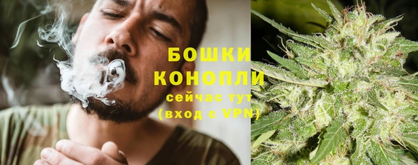 гидропоника Дмитриев
