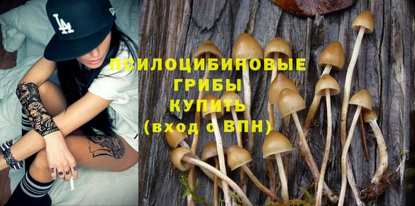 МДПВ Елизово