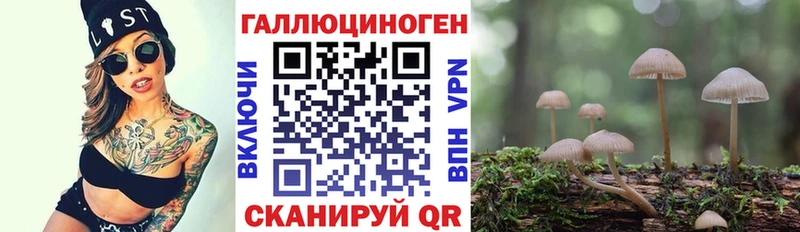 Псилоцибиновые грибы мухоморы  Стародуб 